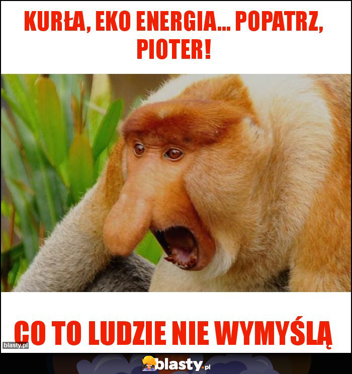 Kurła, eko energia... popatrz, Pioter!