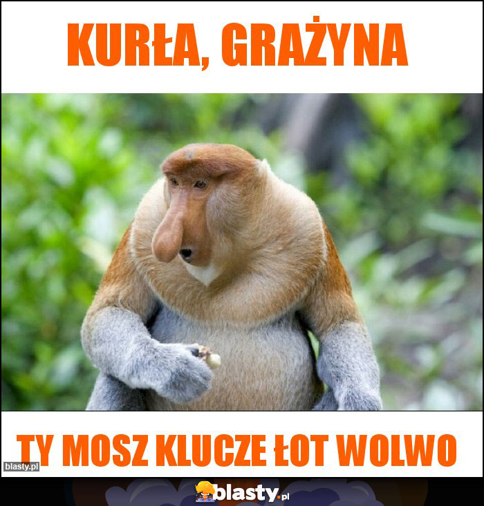 Kurła, grażyna