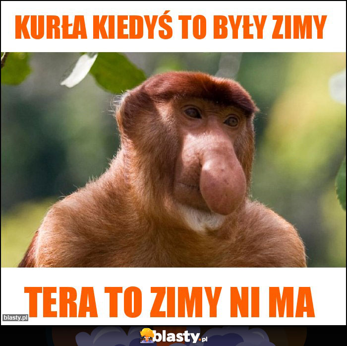 Kurła kiedyś to były zimy