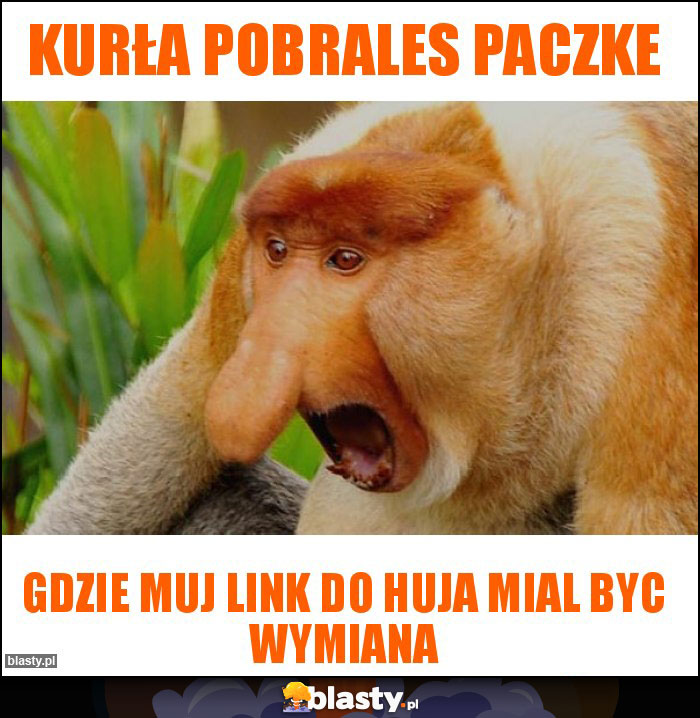 KURŁA POBRALES PACZKE