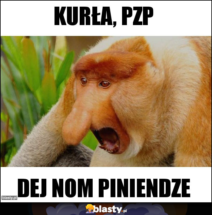 KURŁA, PZP