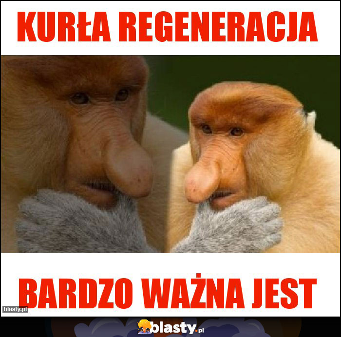 Kurła regeneracja