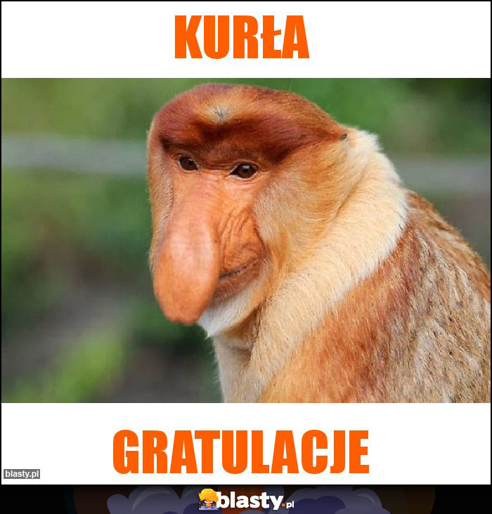 Kurła