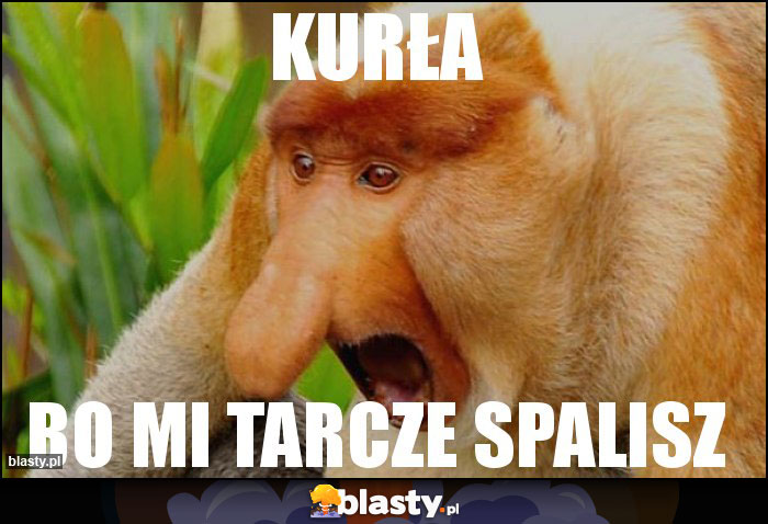 KURŁA