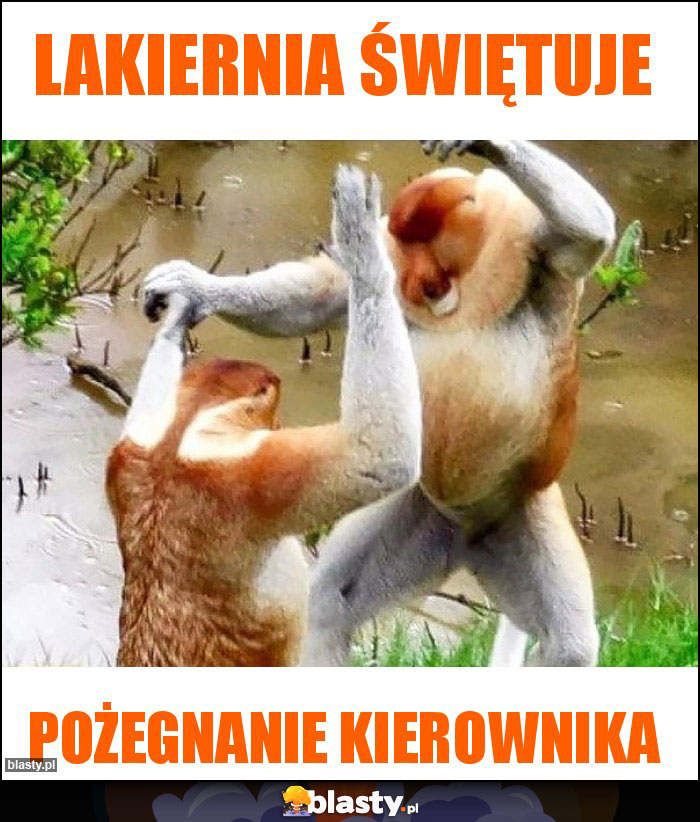 Lakiernia świętuje