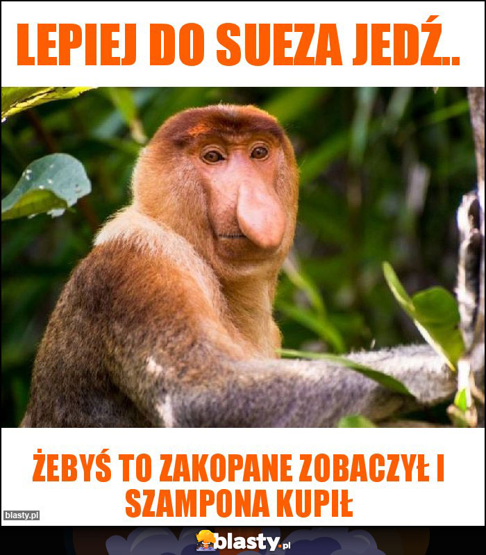 Lepiej do Sueza jedź..