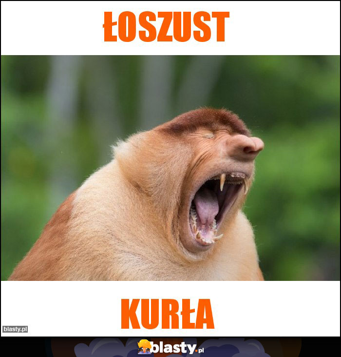 ŁOSZUST