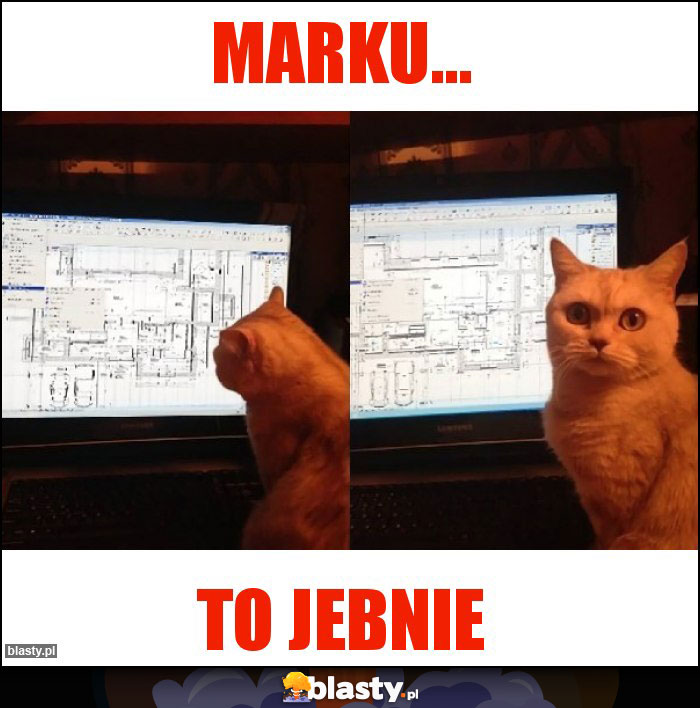 Marku...