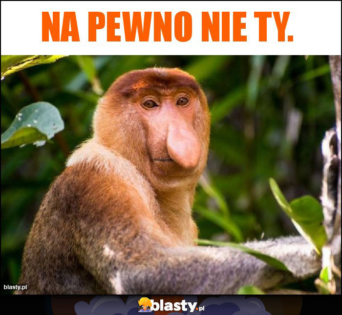 Na pewno nie Ty.