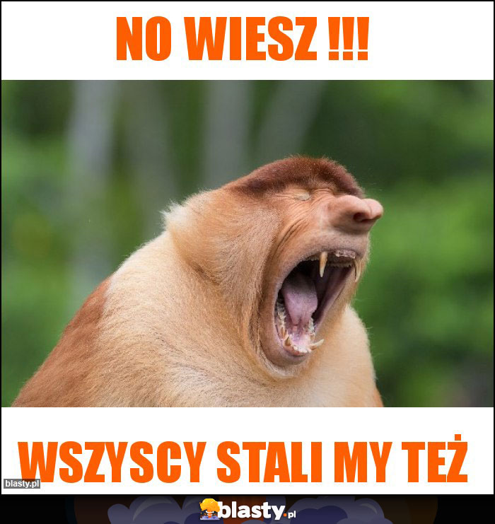 no wiesz !!!