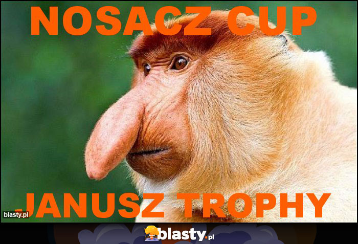 Nosacz Cup