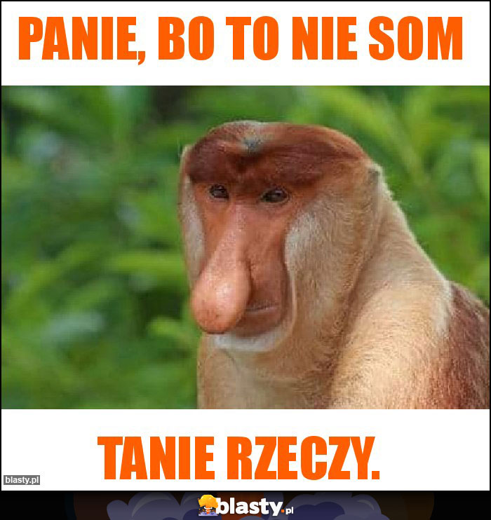 Panie, bo to nie som