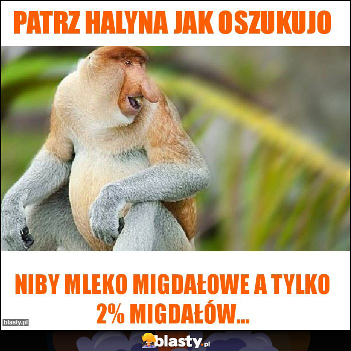 PATRZ HALYNA JAK OSZUKUJO