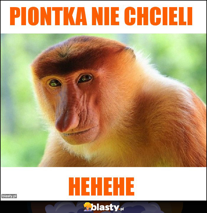 Piontka nie chcieli