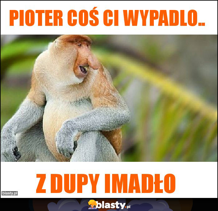 Pioter coś Ci wypadlo..