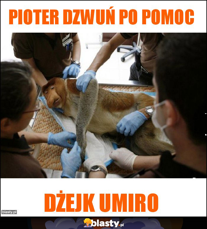 Pioter dzwuń po pomoc