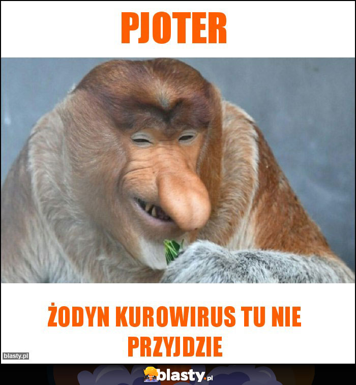 PJOTER