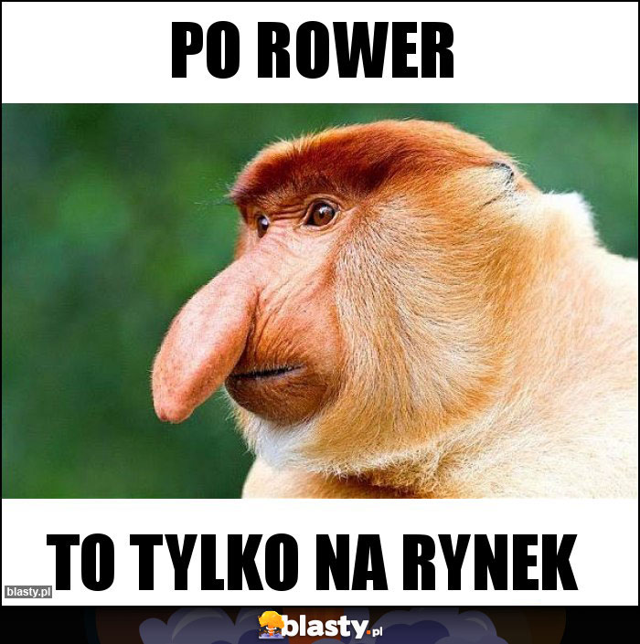 Po rower