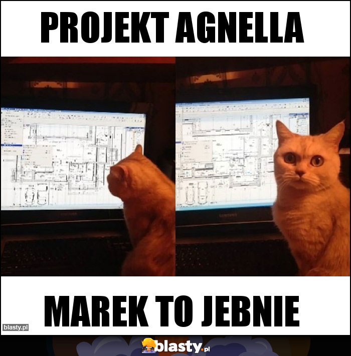 Projekt Agnella