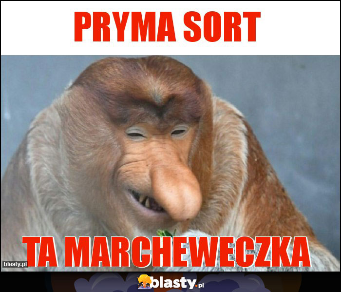 Pryma sort