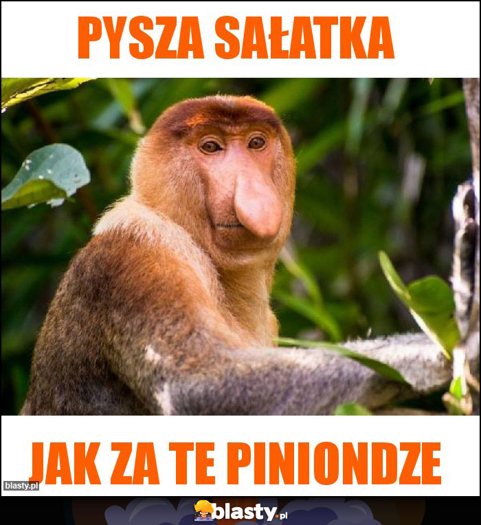 Pysza sałatka