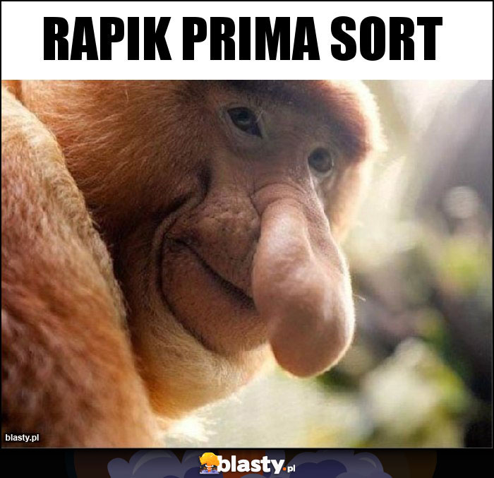 Rapik prima sort