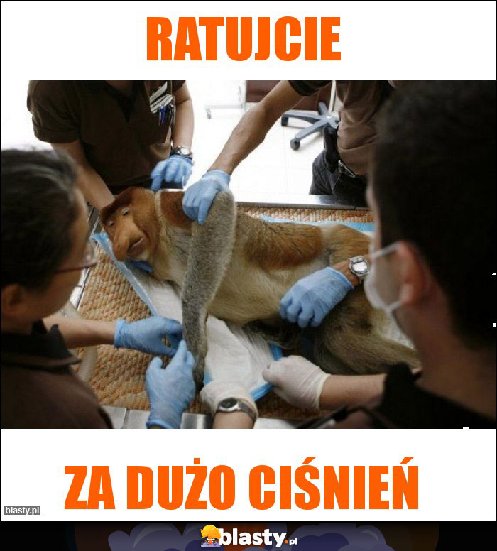 Ratujcie