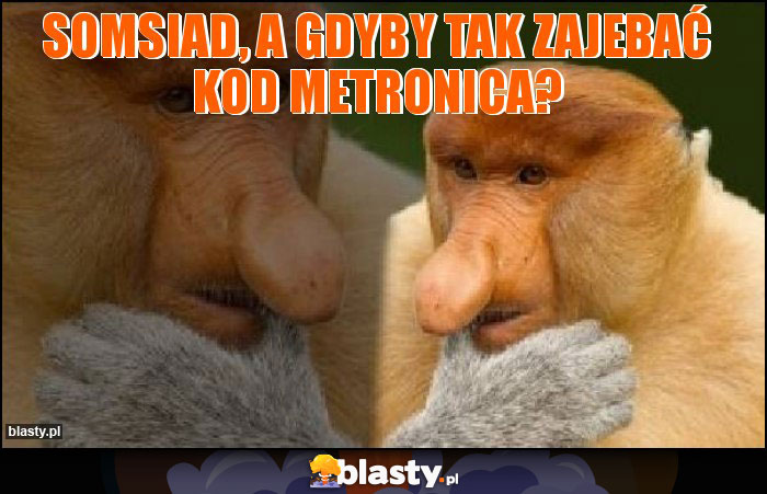 Somsiad, a gdyby tak zajebać kod Metronica?