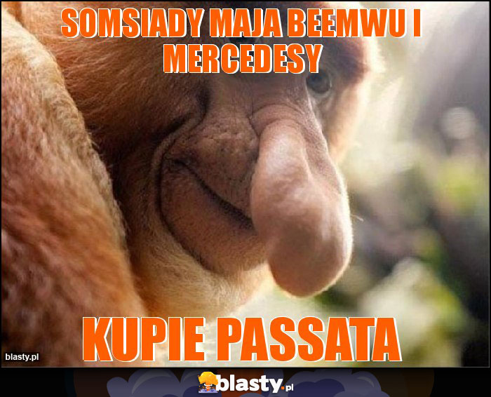 Somsiady maja beemwu i mercedesy