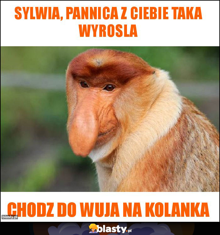 Sylwia, Pannica z Ciebie taka wyrosla