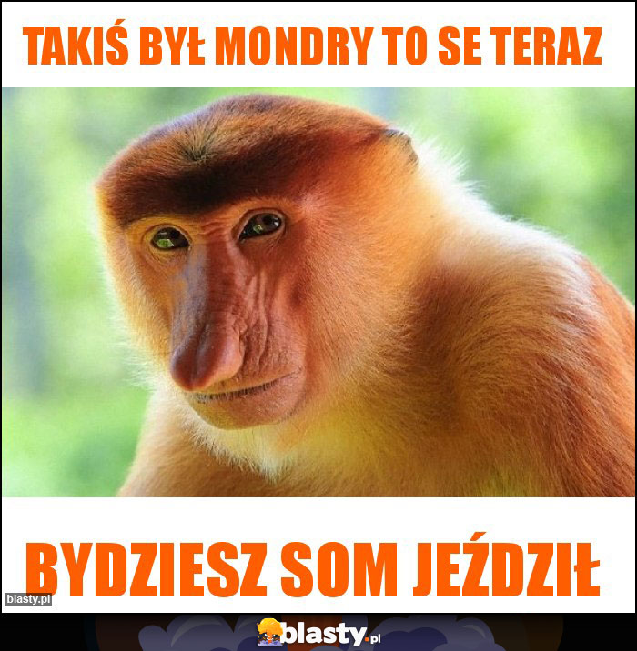 Takiś był mondry to se teraz