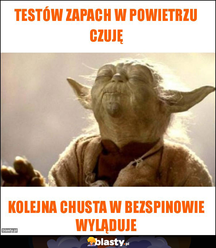 Testów zapach w powietrzu czuję