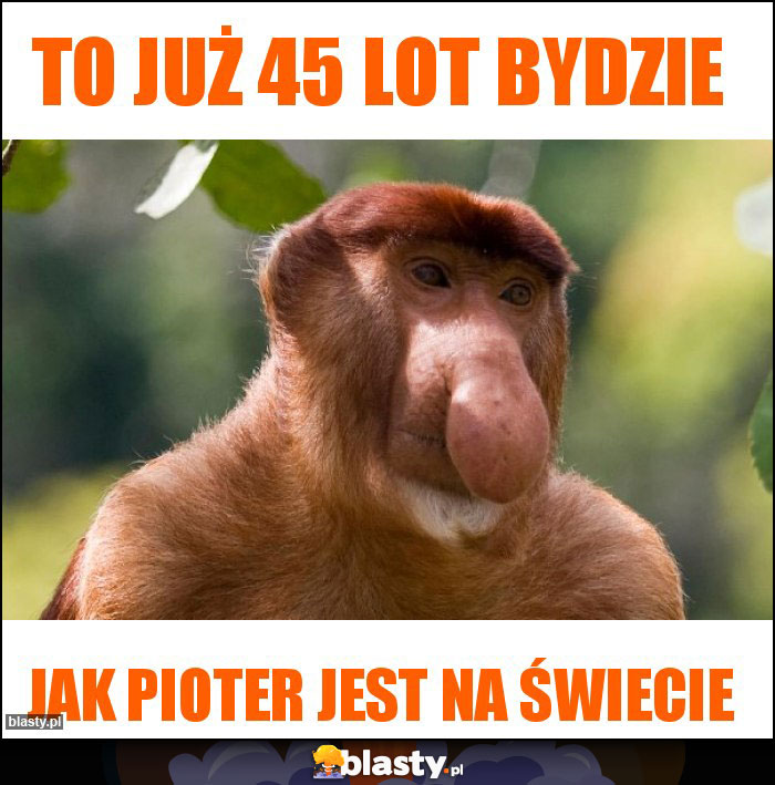 To już 45 lot bydzie