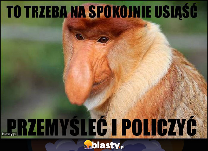 To trzeba na spokojnie usiąść