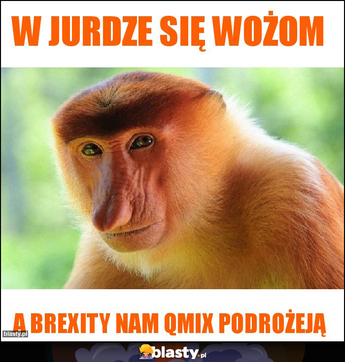 W JURDZE SIĘ WOŻOM