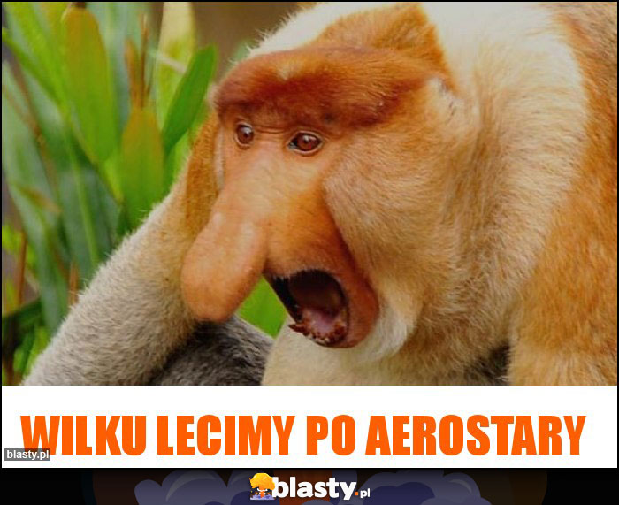 Wilku lecimy po aerostary