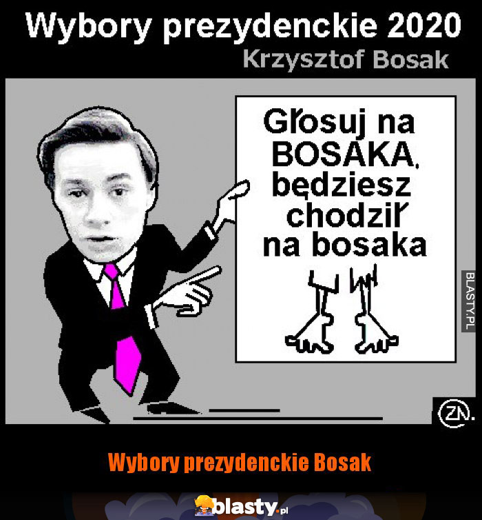 Wybory prezydenckie Bosak