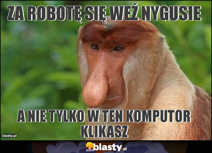 Za robotę się weź nygusie