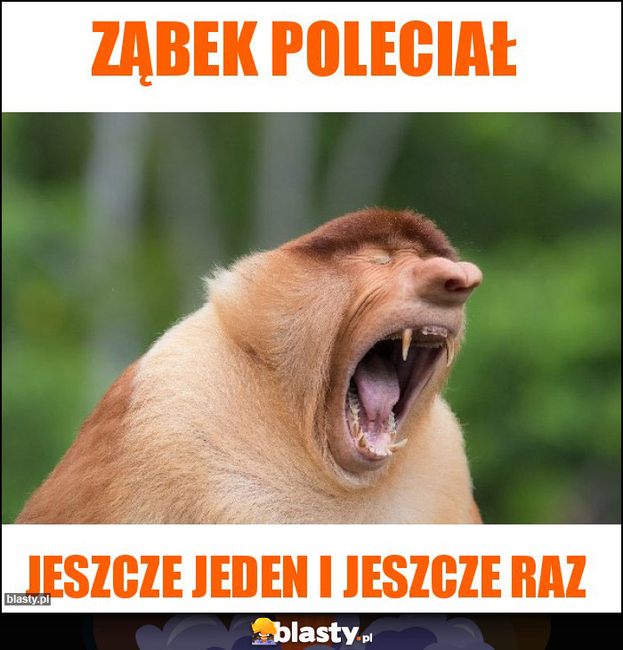 Ząbek poleciał