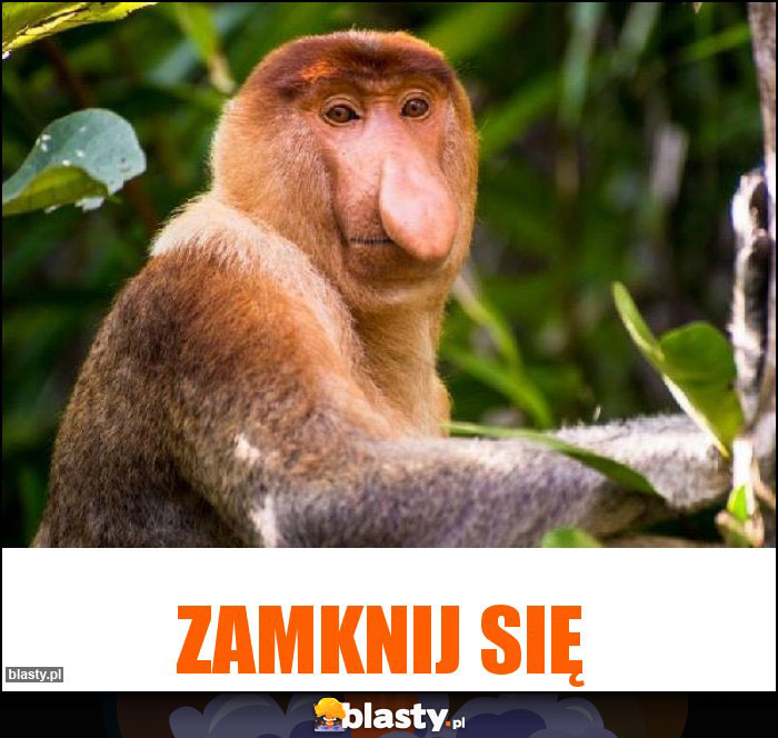 ZAMKNIJ SIĘ