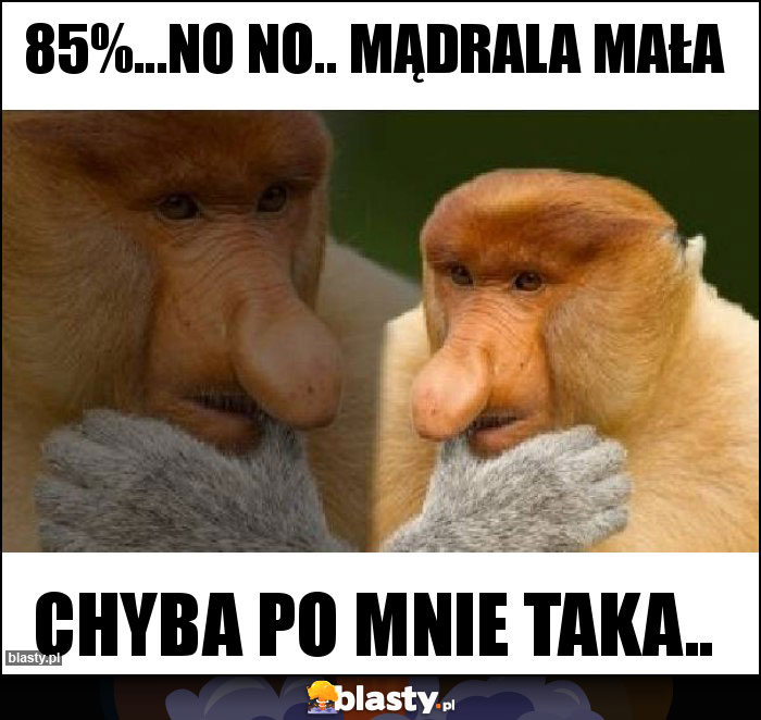 85%...no no.. Mądrala mała