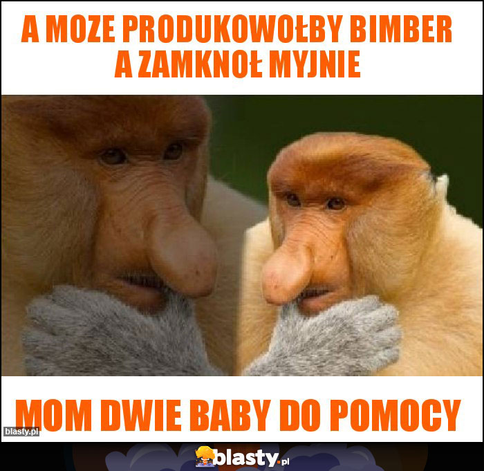 A moze produkowołby bimber a zamknoł myjnie