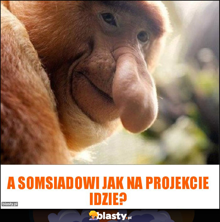 A somsiadowi jak na projekcie idzie?