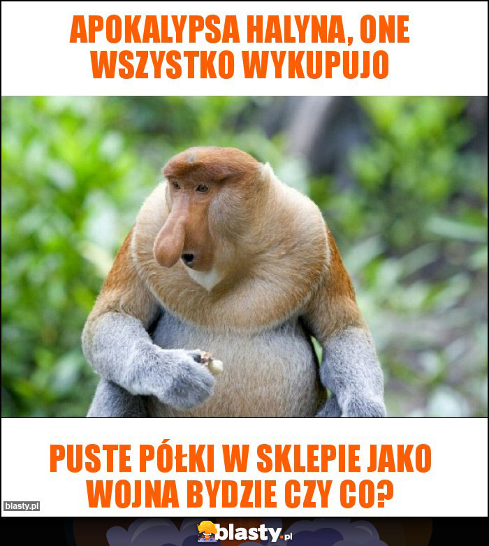 Apokalypsa Halyna, one wszystko wykupujo