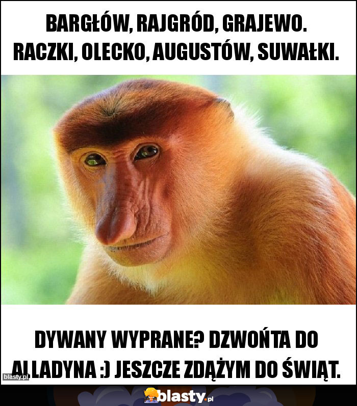 Bargłów, Rajgród, Grajewo. Raczki, Olecko, Augustów, Suwałki.