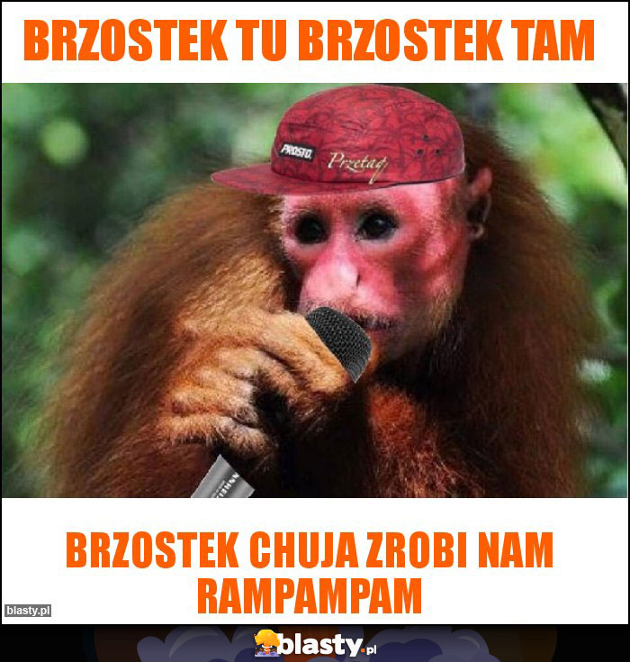 Brzostek tu Brzostek tam