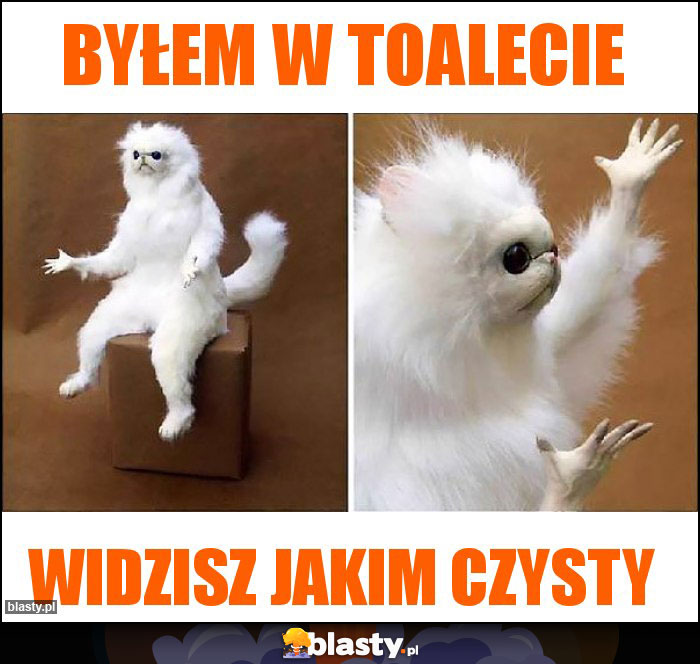 Byłem w toalecie