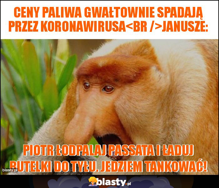 Ceny paliwa gwałtownie spadają przez koronawirusa
Janusze: