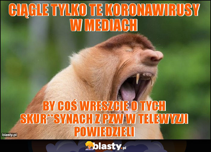 Ciągle tylko te koronawirusy w mediach