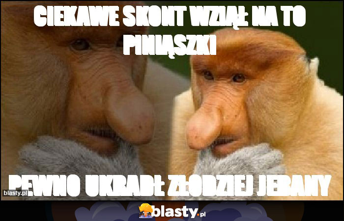 Ciekawe skont wziął na to piniąszki